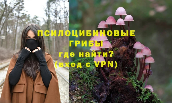 крисы Богородицк