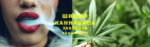 крисы Богородицк
