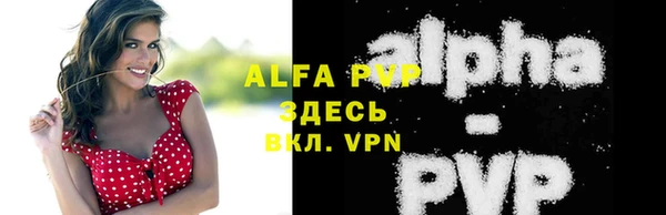 крисы Богородицк