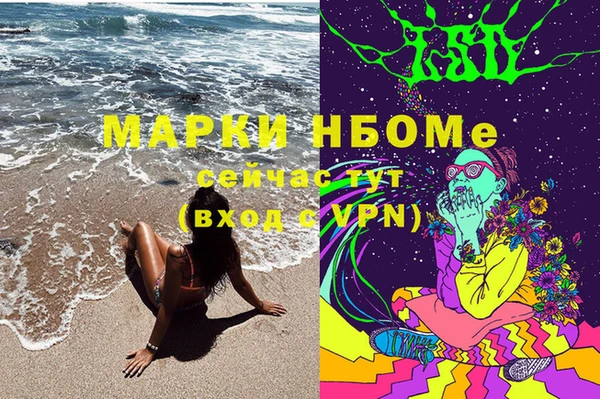 крисы Богородицк