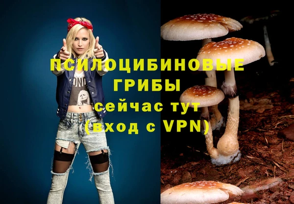 хмурый Богородск
