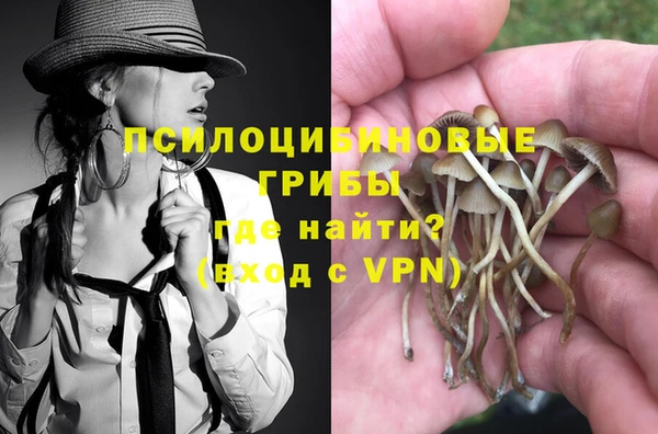 крисы Богородицк