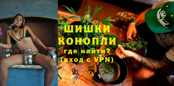 крисы Богородицк