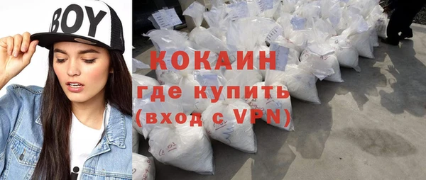 крисы Богородицк