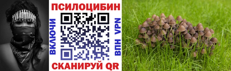 купить   Яхрома  Галлюциногенные грибы ЛСД 